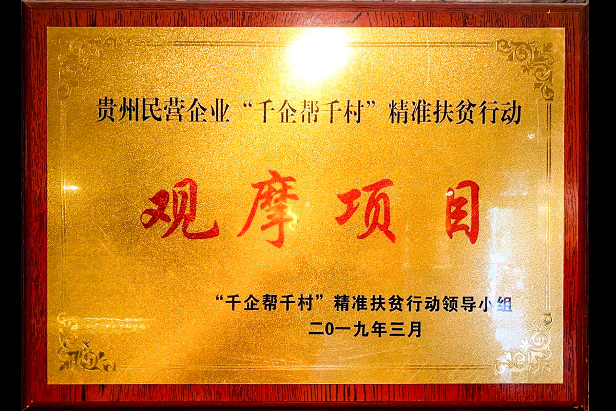 貴州民營企業(yè)“干企幫干村”精準(zhǔn)扶貧行動觀摩項目